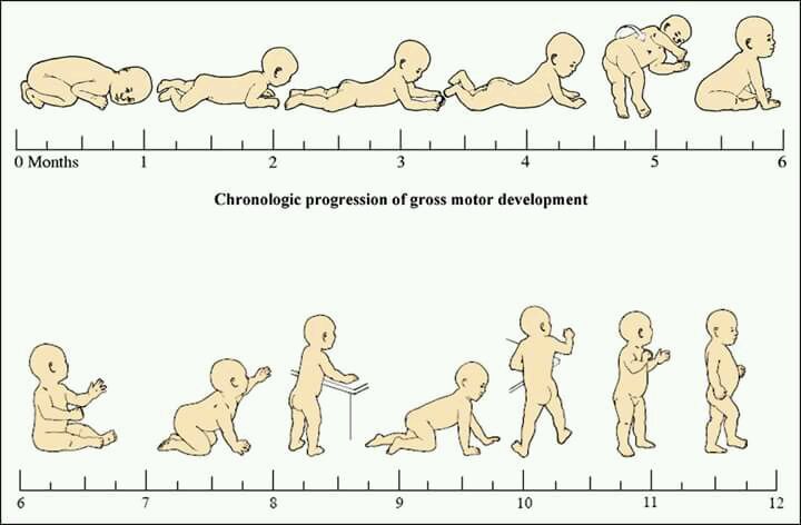 Етапи в двигателното развитието на бебето до 1 годинка - Bellamie