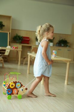 Дървена играчка с активности за дърпане - Таралеж от Viga toys-bellamiestore
