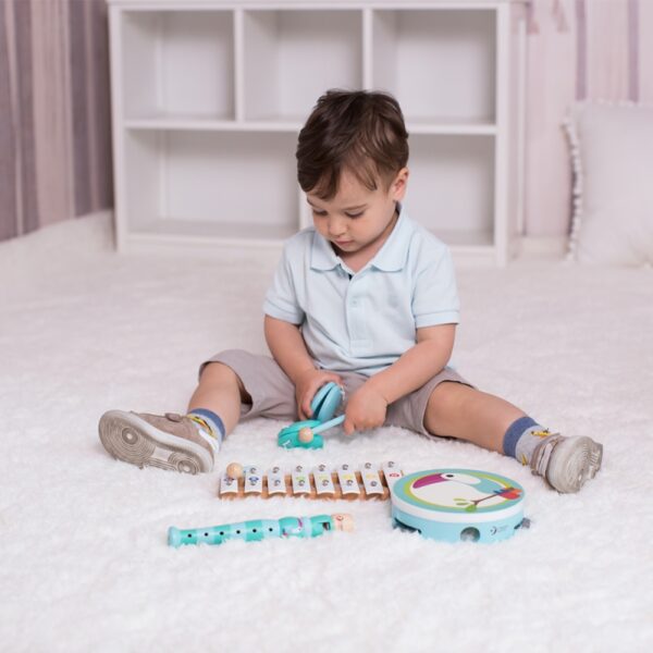 Комплект от детски музикални инструменти Тукан от Classic World-bellamiestore