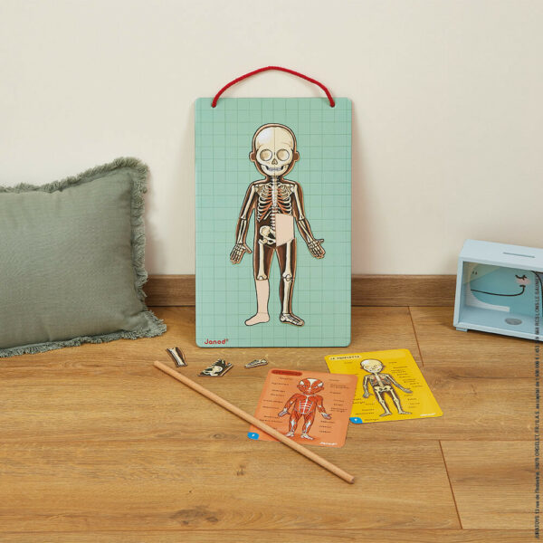 Janod Магнитна игра - Анатомия на човешкото тяло-bellamiestore