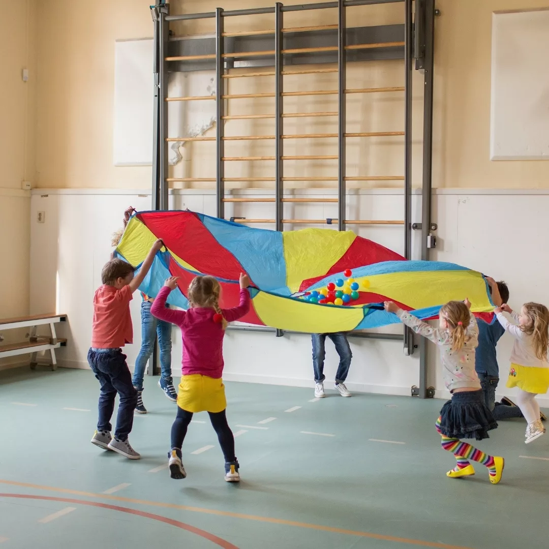 Детски парашут за игра с 24 топки BS Toys многоцветен полиестер за активни игри 4+