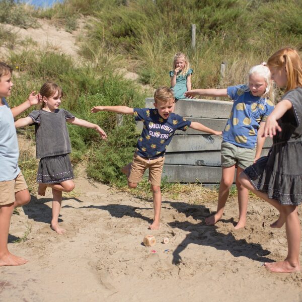 Забавна игра за деца - Имитирай птиците- настолни игри от BS Toys