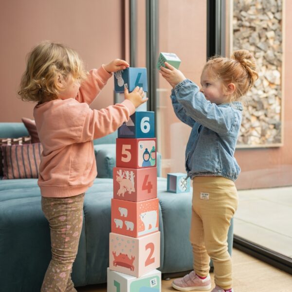 Картонени кубчета за подреждане - Артика 10 броя 2