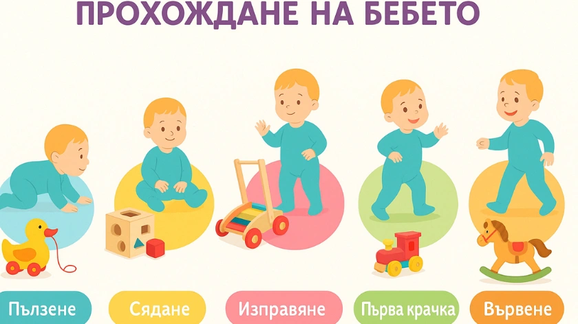 Инфографика, показваща петте етапа на прохождане на бебето - пълзене, сядане, изправяне, първа крачка и вървене.