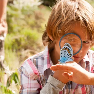 Лупа и синя пеперуда, изследователски комплект, научна игра за момчета, навън в природата