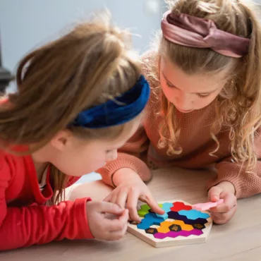 Логическа настолна игра с цветни пчелички и шестоъгълници за развитие на мисленето