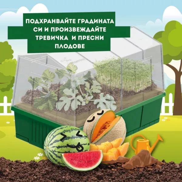 Мини оранжерия с поникнали растения от образователен комплект Моята първа оранжерия Science4You