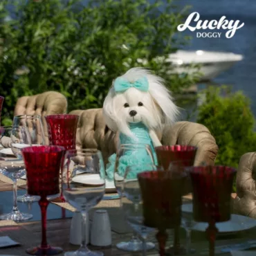 Плюшено кученце Orange Toys Lucky Doggy с рокля и панделка