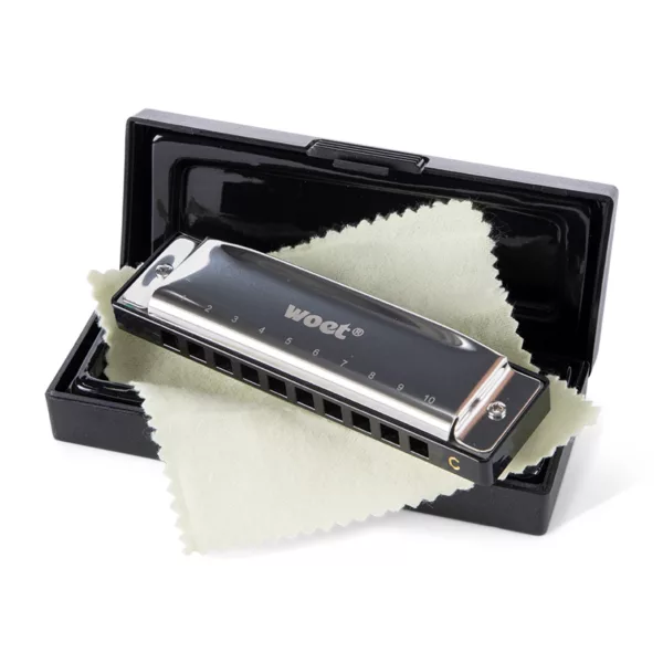 Детска хармоника с 10 дупки с кутия за съхранение и кърпичка