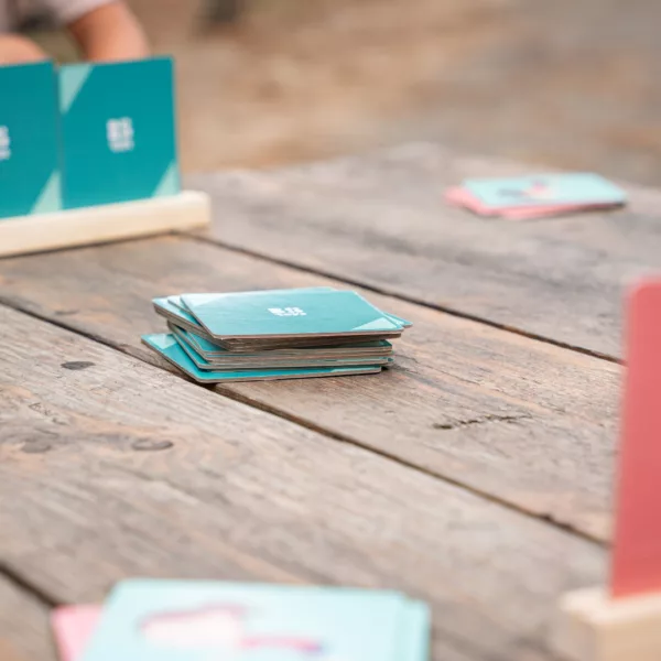 Детска игра Позирай и намери двойката със зелени и розови карти от картон за деца 4+