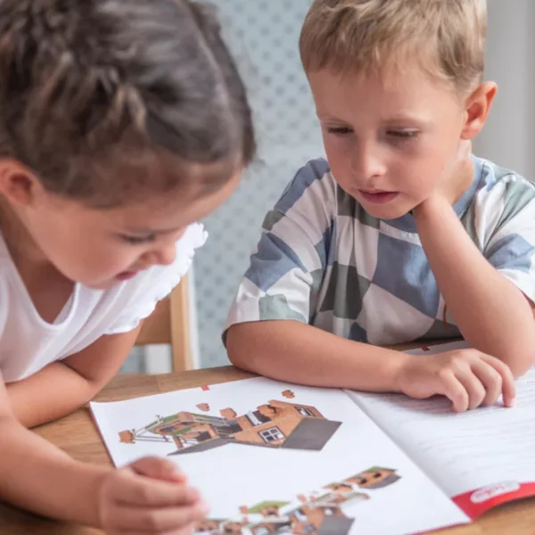 Строителен комплект с тухли Ферма Teifoc 230 части инструкции 8+